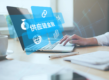 供应链金融平台-湖南尊龙集团中国官方网站科技_软件开发_网站建设_网络推广_视觉设计